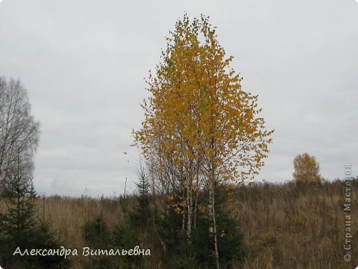 Осень в N-ском районе. 2008 год. (фото 14)