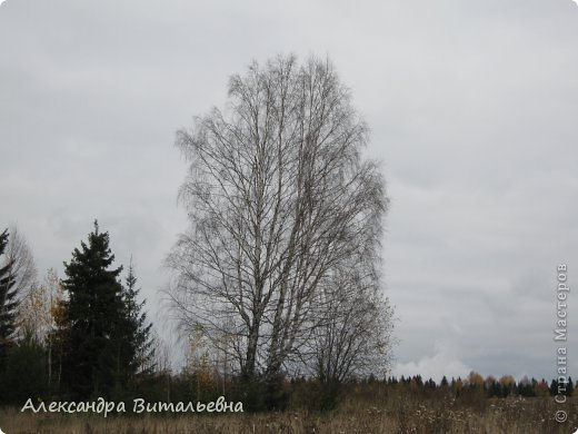 Осень в N-ском районе. 2008 год. (фото 15)