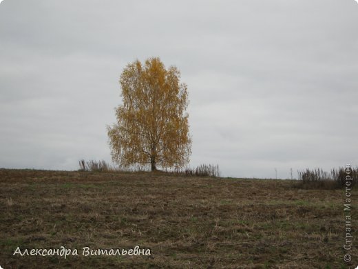 Осень в N-ском районе. 2008 год. (фото 16)