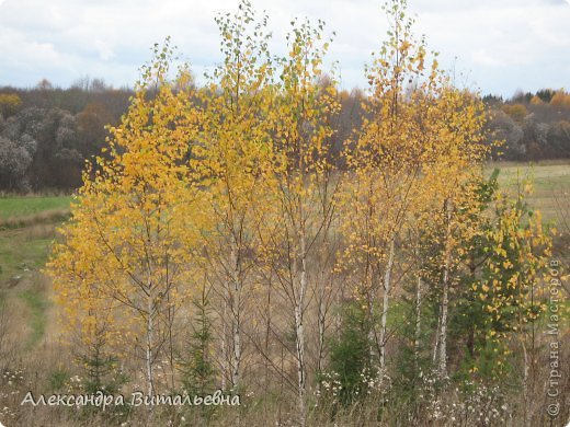 Осень в N-ском районе. 2008 год. (фото 17)