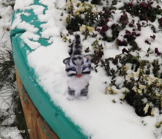 Войлочный котенок. (фото 2)