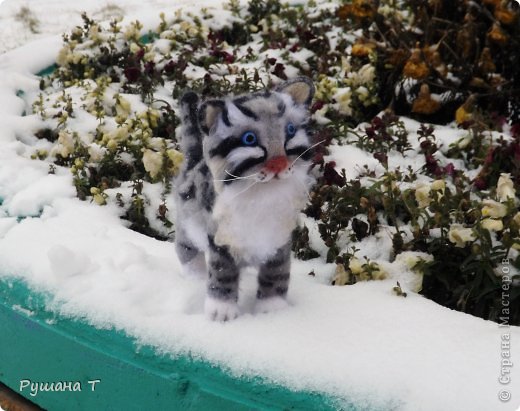 Войлочный котенок. (фото 1)