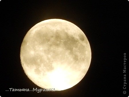 жаль, что мы не видим всё, до мельчайших подробностей... (фото 19)