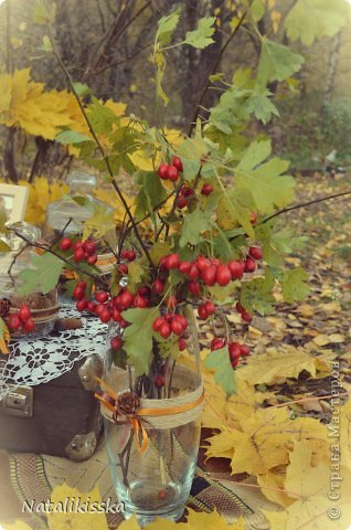 Ваза с шиповником, украшенная шпагатом из сизаля, атласными лентами и шишечкой лиственницы! (фото 11)