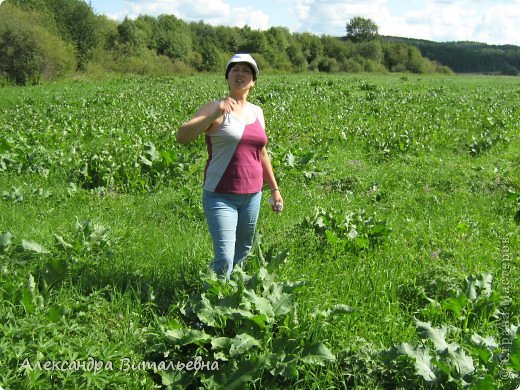 Ох, не успеваю написать, хрен по колено, целое поле. (потом допишу) (фото 33)