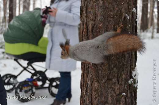 фотосессия продолжается... (фото 5)