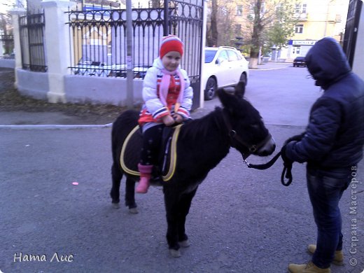 А это бонус для всех тех, кто досмотрел горячку моей болезни до конца... (фото 13)