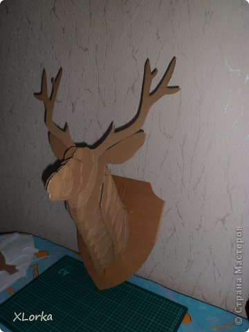 Голова оленя (фото 4)