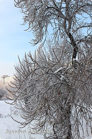 Здесь она во всей красе :) (фото 3)