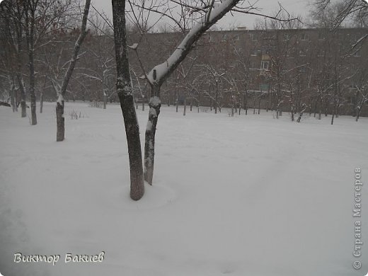 Всё в округе замело, очень тяжело пройти по этим сугробам. (фото 3)