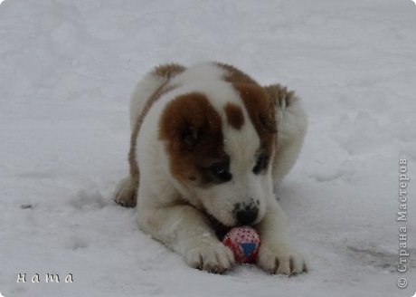 а прошлой зимой не умещался и один))) (фото 14)