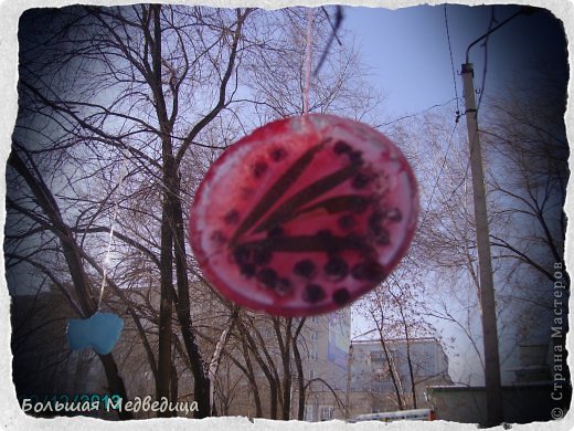 А мы украсили двор к Новому году! (фото 5)