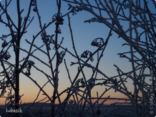 Перебирая папку с фотками увидела эти, которые сделала в самом начале декабря. (фото 58)