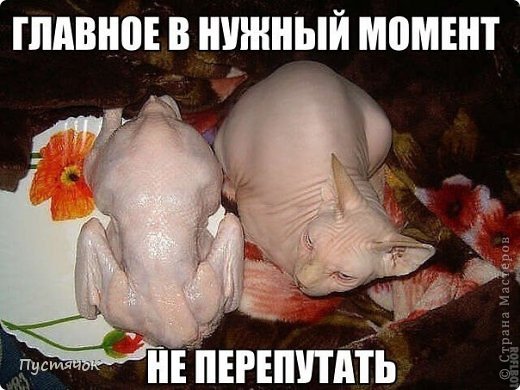 Найдите отличие !!! (фото 23)