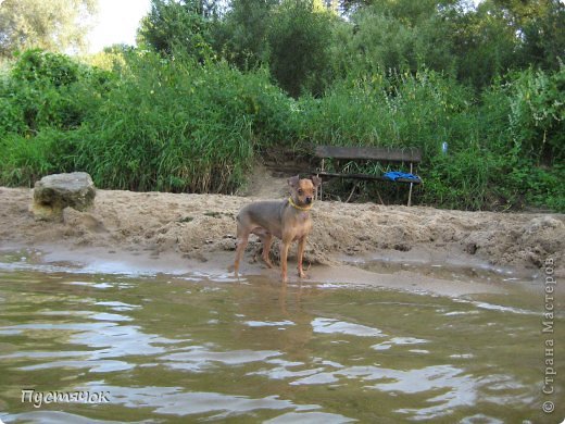 Речная вылазка
Все уплыли, один на берегу ждёт.....пока (фото 14)