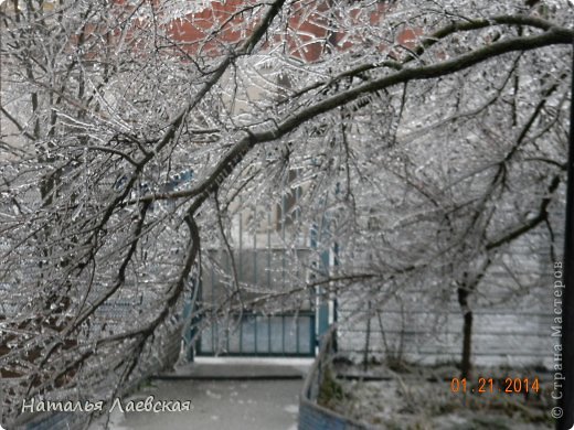 Ветки деревьев трещали, а затем ломались и падали. У соседского мальчика перед носом упало дерево.  (фото 4)