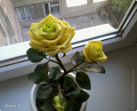 Розы из ХФ (фото 7)