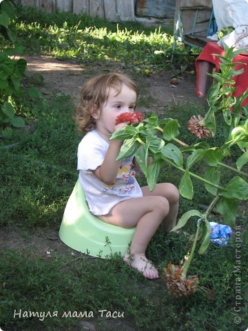 Любовь к прекрасному в любой ситуации:) (фото 13)