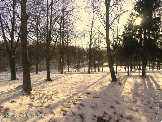 Вот такая зима у нас. Спасибо что зашли. Плиз без комментов не уходить. (фото 14)