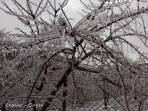 Это фотки с нашей дачи. В Южном (мой городок) все было намного хуже. Выйдешь ночью на болкон, темнотища, только и слышно было хруст ломающихся деревьев, жуть... (фото 3)