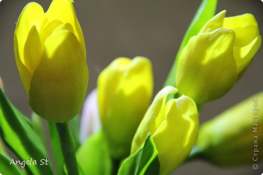 Перед новым годом я попала в больницу....... суровые больничные будни пролетели незаметно..... всё свободное время я трудилась над новой работой - тюльпанами, которые представлены ниже! (фото 1)