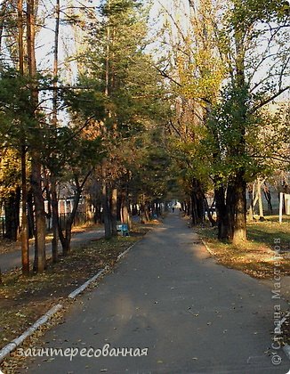 Поэты - на улицу!

Я брожу по сумрачным улицам…
Мне легко и свободно дышится!
Я брожу по сумрачным улицам…
В звуке шага мне рифма слышится!

Я брожу по сумрачным улицам
В радость мне дожди со снегами!
Я брожу по сумрачным улицам…
Собираю стихи под ногами!

Я приду домой – счастливая!
Но, чу, рифма больше не слышится!!!!
Резюме. Поэты – на улицу!
На прогулке нам легче пишется! (фото 1)