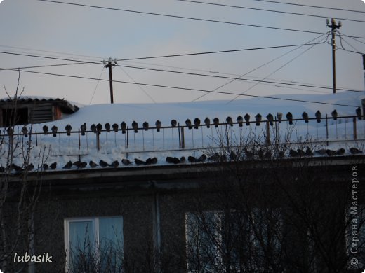 Шкатулочки, хвастик и немного природы.... (фото 47)