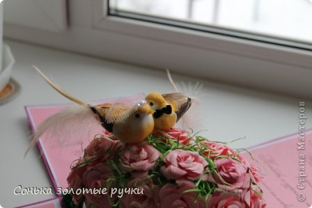 вот мои голубки и при нарядились...)))) (фото 28)