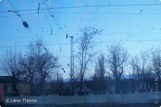 через несколько минут появились обитатели (фото 4)