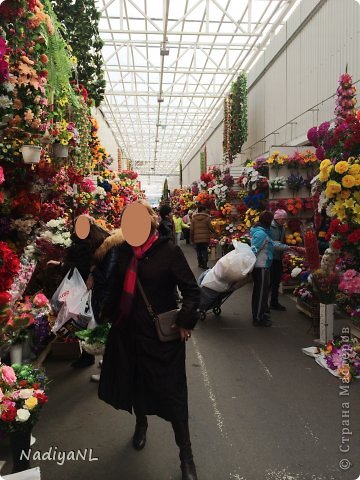 Вчера заезжала на Садовод и попала в цветочный рай )))) (фото 14)