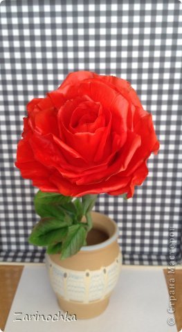 Red rose (фото 2)