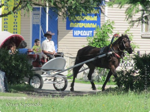 Дядечка катает ребят в ...как же это называется правильно экипаж??))) (фото 4)