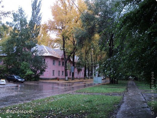 Небольшая прогулка от дома до парка (фото 4)