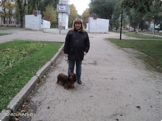 В парке я гуляла сначала со своей собакой,это наша последняя прогулка перед тем как Фиби поехала к родителям,а я в роддом. (фото 1)