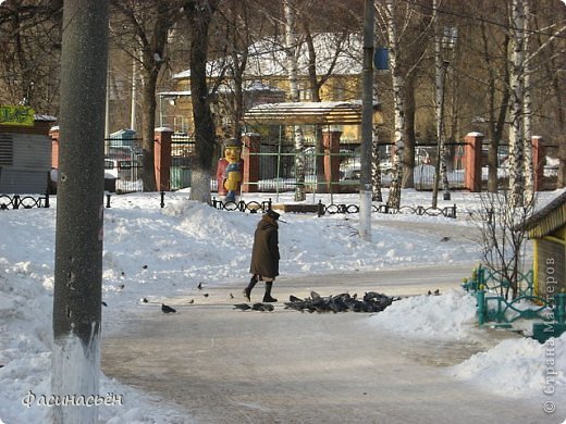 Небольшая прогулка от дома до парка (фото 36)