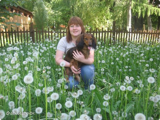 Хозяева кафе хотели скосить одуванчики,но посетители парка их отстояли))) (фото 38)