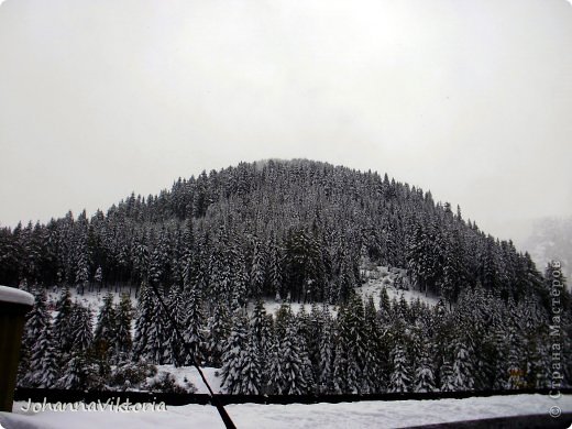 Это Тирол. Австрия. (фото 3)