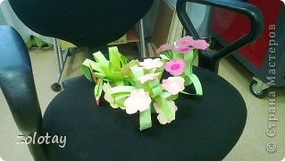Первые цветы (фото 3)