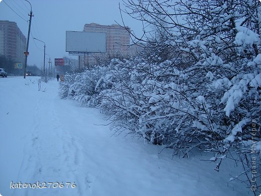 Утром 1 апреля по пути на работу любовалась на такую красоту.... (фото 3)