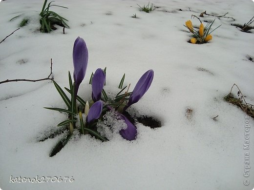 а здесь уже 4 апреля, снега меньше... но до сих пор не расстаял.... (фото 9)