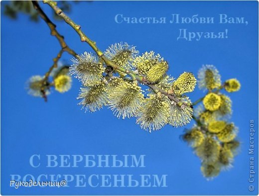 С праздником вас дорогие друзья. До конца поста осталась неделя, предлагаю вам попробывать мой постный обед. Блюда очень вкусные. (фото 1)