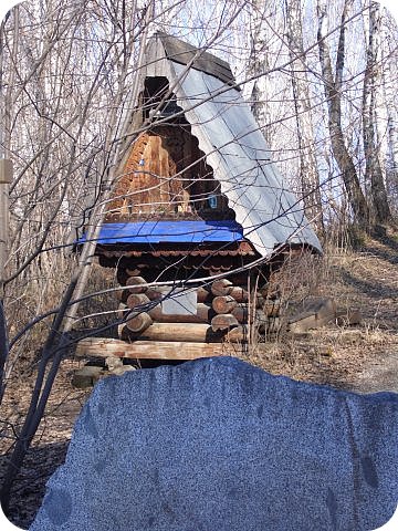 Святой источник "Ложок"! (фото 4)