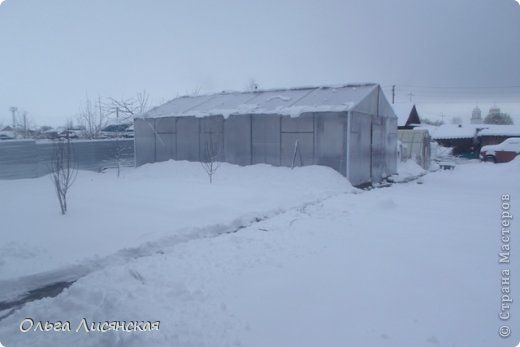 Ну а это к нам сегодня вернулась зима! Почти сутки шел снег. При этом вчера днем было +22 град., а к вечеру опустилось до +5 и ночью до -4. Нынче такого снега зимой у нас ни разу не было, огород стоял черный, зато в апреле все белое. Мои грядочки и не видно, а где-то там и редиска взошла, и тюльпанчики. К теплицам чуть пробилась, пришлось чистить дорожки. (фото 15)