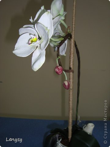 . (фото 6)