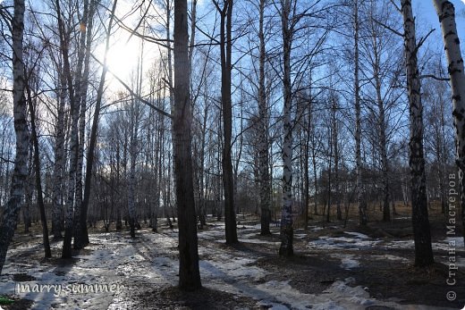 Ну в роще конечно еще есть немного снега, но совсем немного... (фото 7)