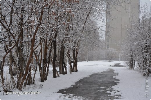 Кстати, это тоже самое место где женщина с собакой гуляла (на фото сверху) (фото 19)