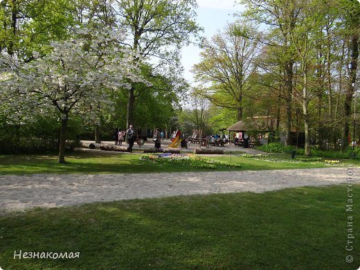 Парк цветов " Keukenhof" 1 часть. (фото 43)