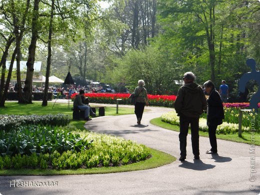 Парк цветов " Keukenhof" 2 часть. (фото 29)