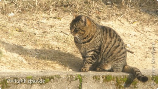 La,la,la,la,la,la vse budet horosho
La,la,la,la,la,la kuda bi ti ne shol.
Na pravo trudnij boj
na levo mir pustoj
no budj samim soboj,vse budet horosho! (фото 4)