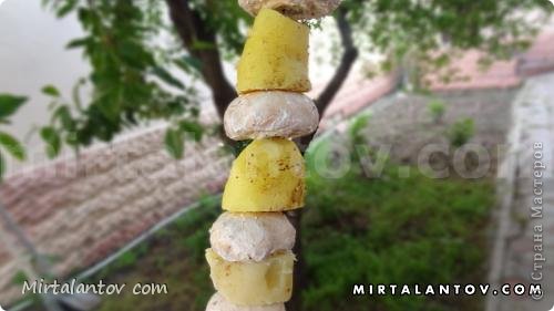 Посыпаем специями (только не солью, всю соль картошка возьмет из воды, в которой варилась) и нанизываем на шампур. Так как грибочки у меня мариновались в майонезе, ими я окружала картофель (фото 4)